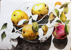 NAMIL ART: [ watercolor step by step] Mosquito still life