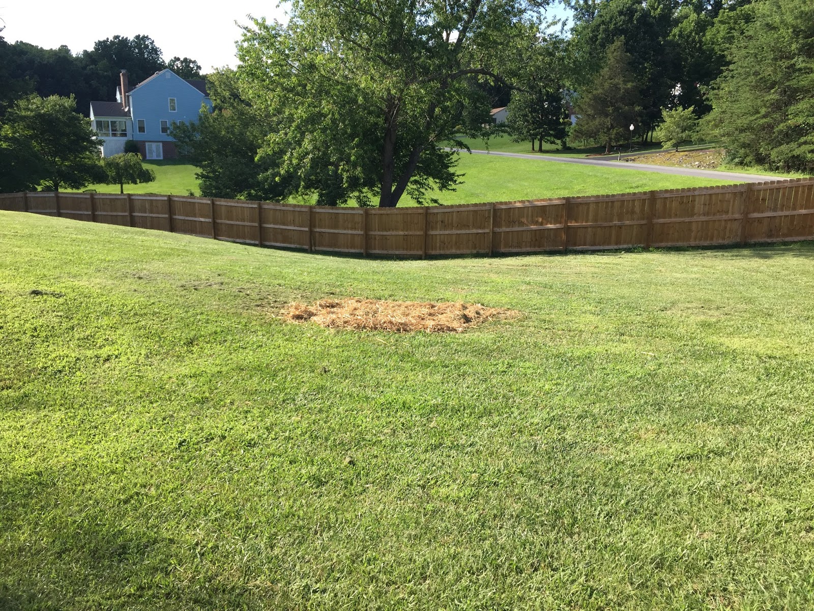 Lowes Fence Installation Reviews