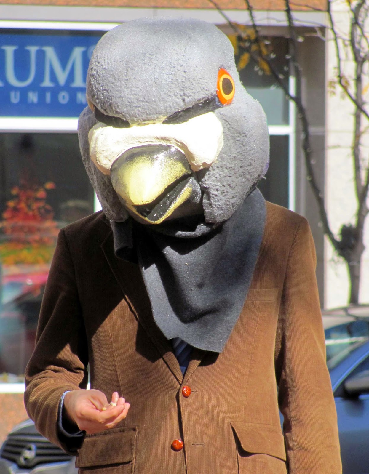 Speedway Daily Photo Around Here, the Pigeons Dress for Work