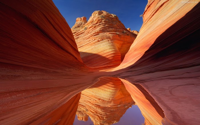 Amazing beauty nature of rock wave antelope canyon arizona