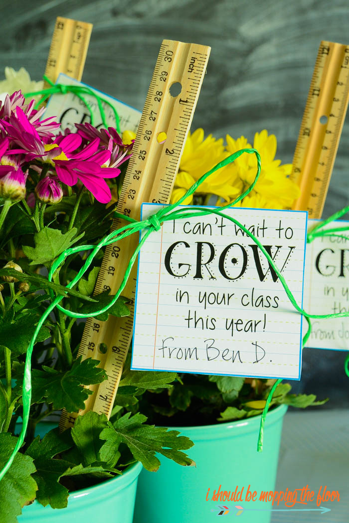 Budget Friendly Back to School Teacher Gifts with Free Printable Gift Tags