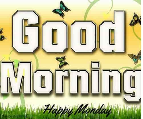beautiful-pic-of-good-morning-monday beautiful pic of good morning monday