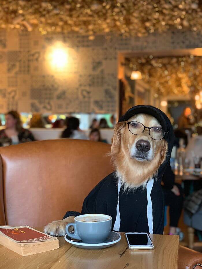 22 Hilariously Adorable Pictures Of A Dog And His Owner Dressed In Funny Costumes 22 Hilariously Adorable Pictures Of A Dog And His Owner Dressed In Funny Costumes