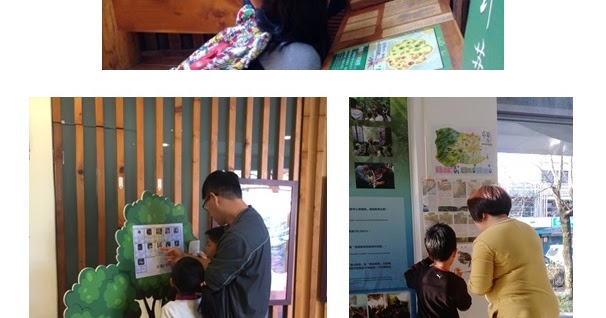 リオデジャネイロは新年に最も人気のある目的地