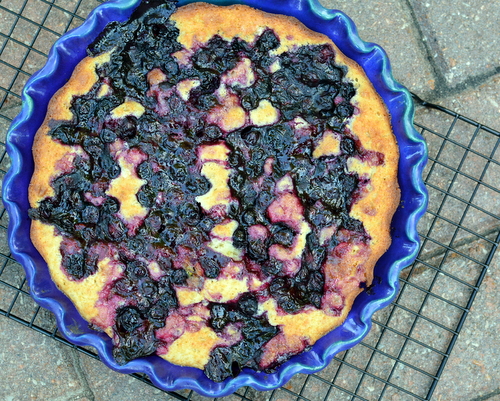 Blueberry Cake ♥ KitchenParade.com, jammy blueberries baked into a simple, rustic cake. No mixer required!