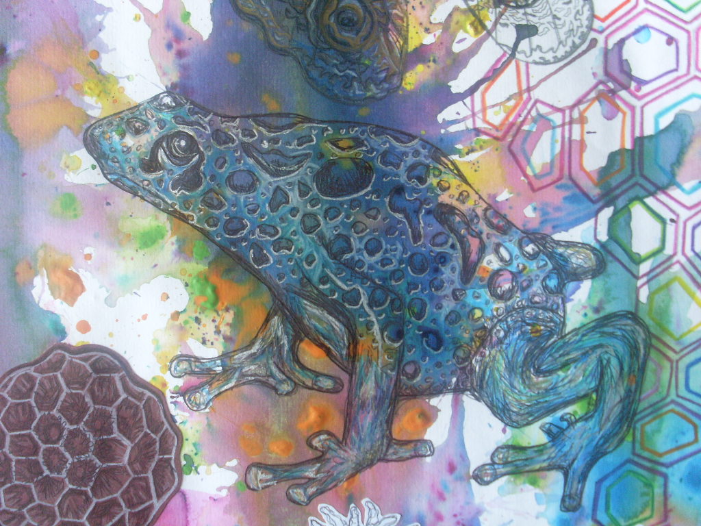 PhillippaLovesDesign Frog and Flamingo 'New'