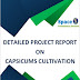  Project Report on Capsicums Cultivation