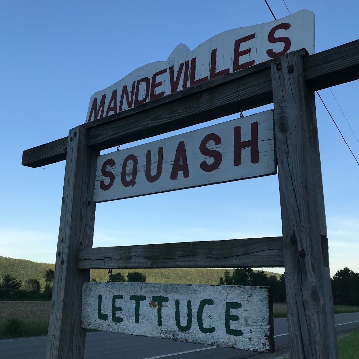 Mandeville Farm Blog