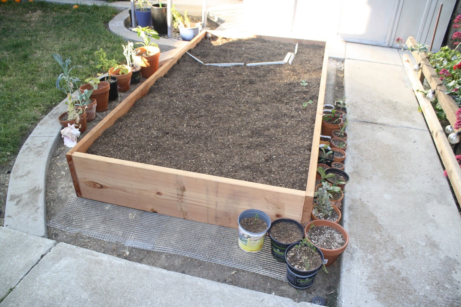 Raised bed gardening update