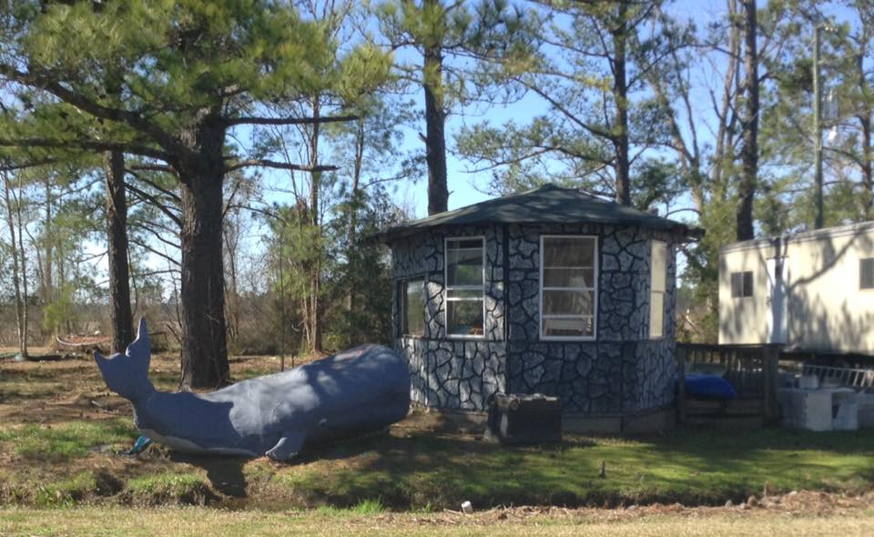Into the LIGHT Road Trip Tyrrell County, NC