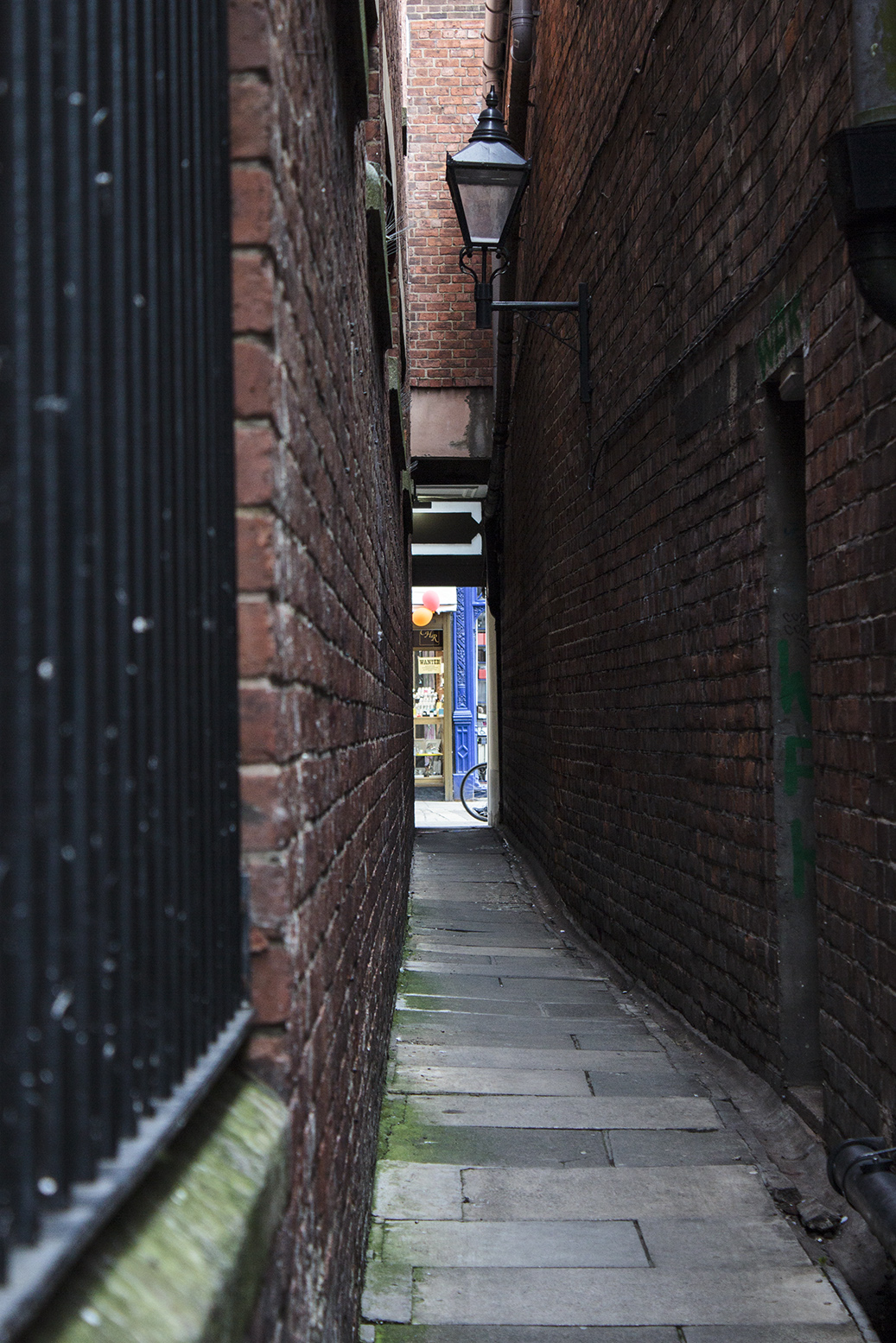 York York