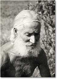 La boia de Port Pelegrí “Llum de la Selva” (Un hippie avant la lettre)