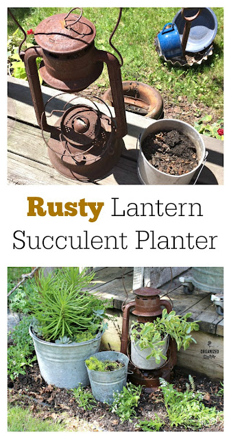 Succulents, Galvanized Buckets and a Rusty Lantern #junkgarden #gardenjunk