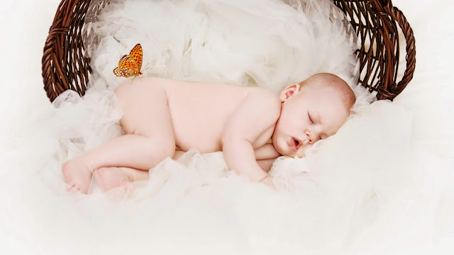 22222-Baby Basket Sleep Toddler Butterfly HD Wallpaperz