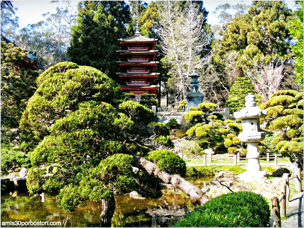 Japanese Tea Garden: San Francisco