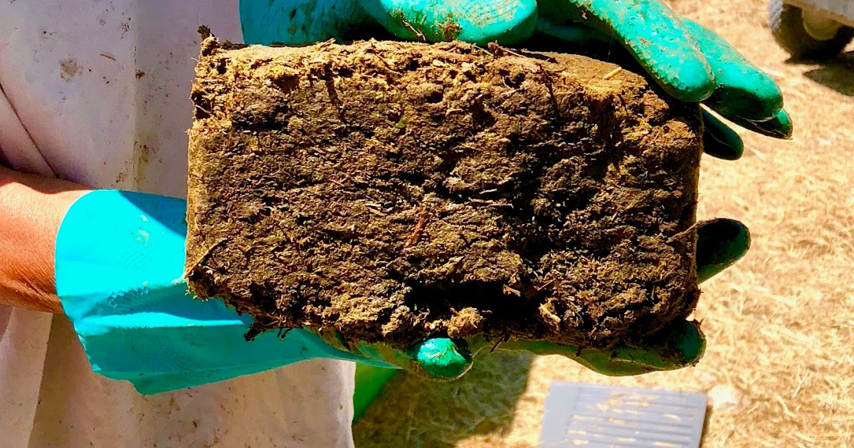 The Deliberate American Heat Your House With Homemade Cow Manure Briquettes!