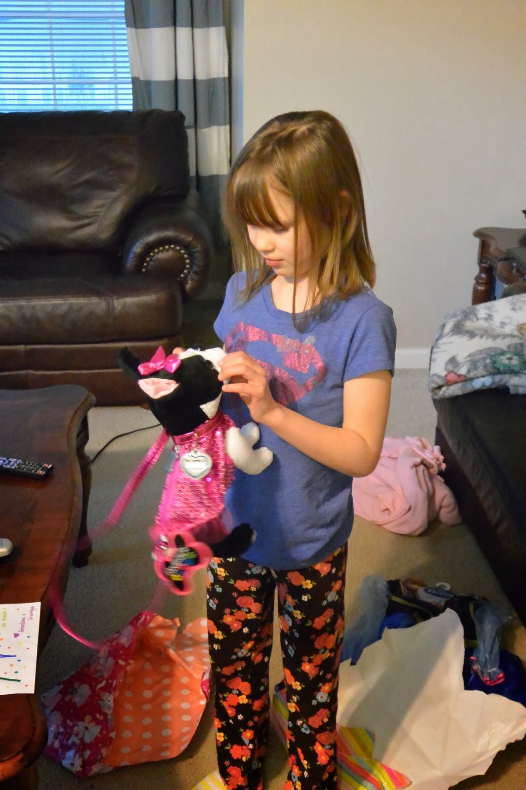 Mason Manor: Hannah’s 7th Birthday