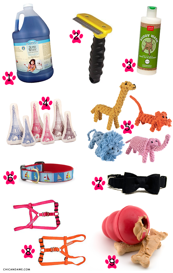 Chic and Awe Our Favorite Dog Essentials