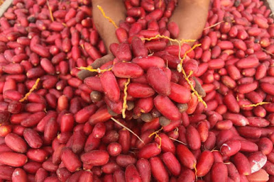 تفسير حلم رؤية البلح الأحمر في المنام لابن سيرين تفسير حلم شراء البلح أو اكل البلح الاحمر للحامل أو شجر البلح أو البلح للفتاة العزباء في المنام