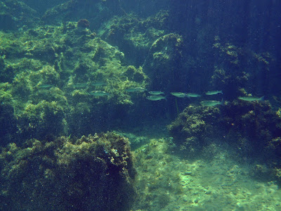 Playa Honda, otra vez Cabo de Palos y Cartagena - 4 días por el sur de Murcia (1)