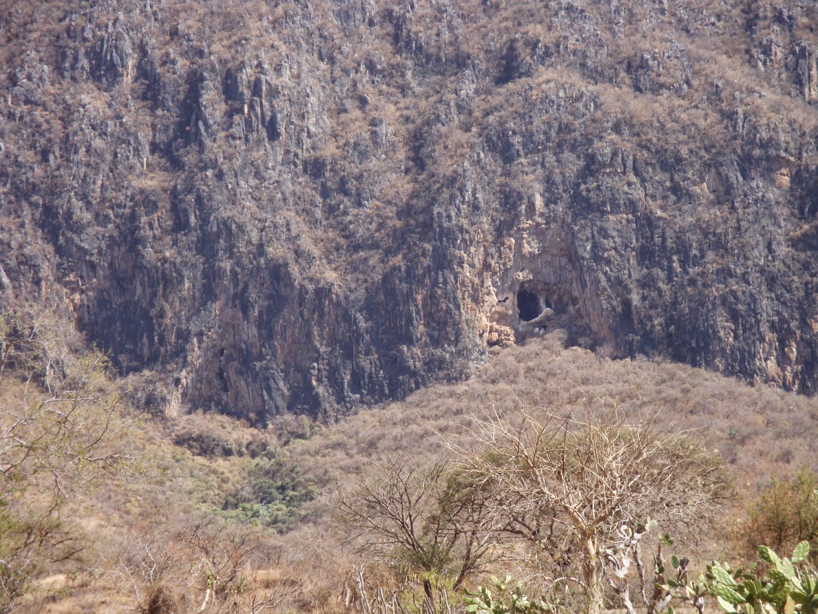 OXTOTITLAN: Paisaje de Oxtotitlán en el mes de enero