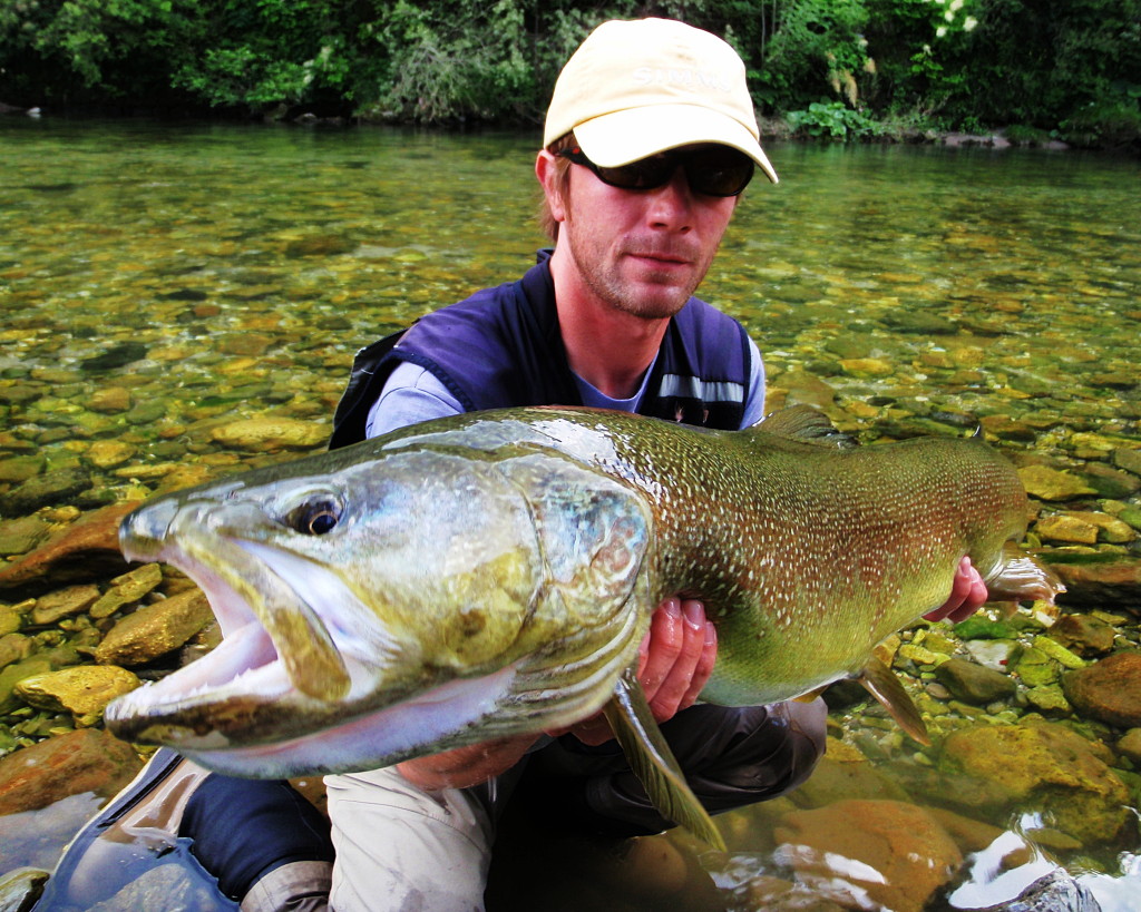 Fishing In Croatia (and in the neighbourhood) Remarkable Marble trout
