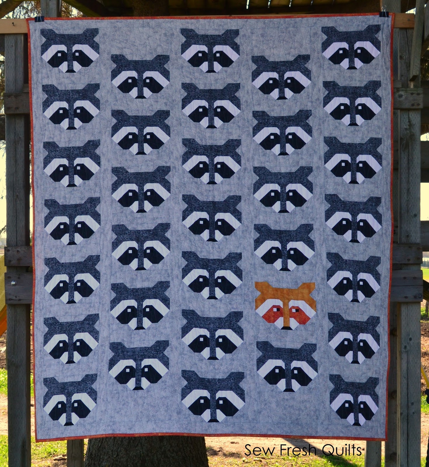 Sew Quilts: Raccoon Quilt