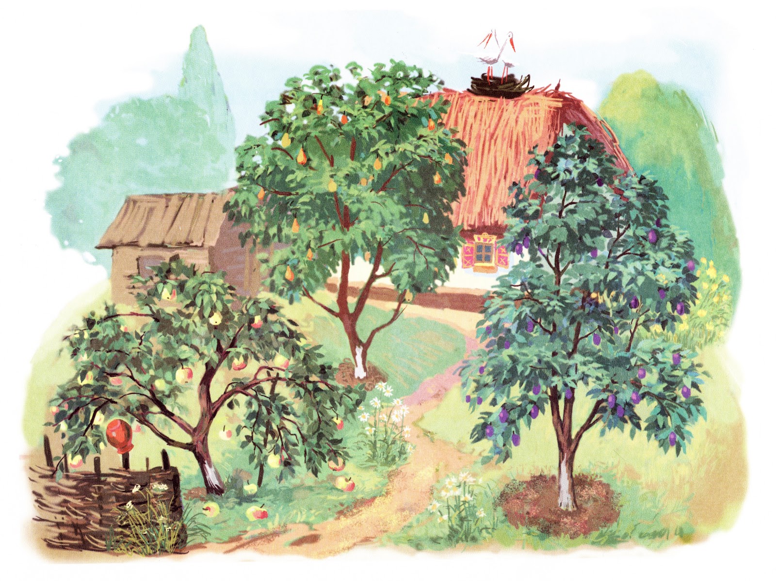 Картинка сад для детей. Сад с фруктовыми деревьями для детей. Картина фруктовый сад для детей. Фруктовые деревья для дошкольников. Изображение фруктового сада для детей.