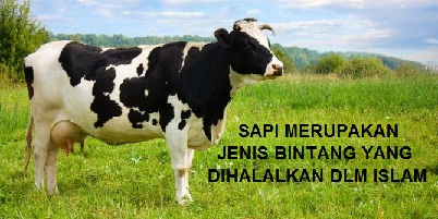 JENIS-JENIS HEWAN YANG HALAL DAN HARAM DIMAKAN SERTA MAKANAN YANG