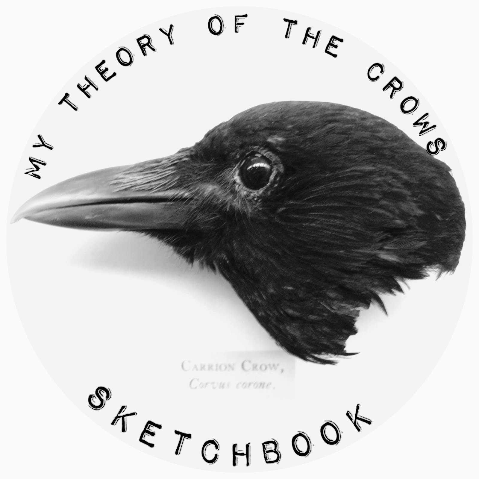 My TheoryOf The Crows Sketchbook