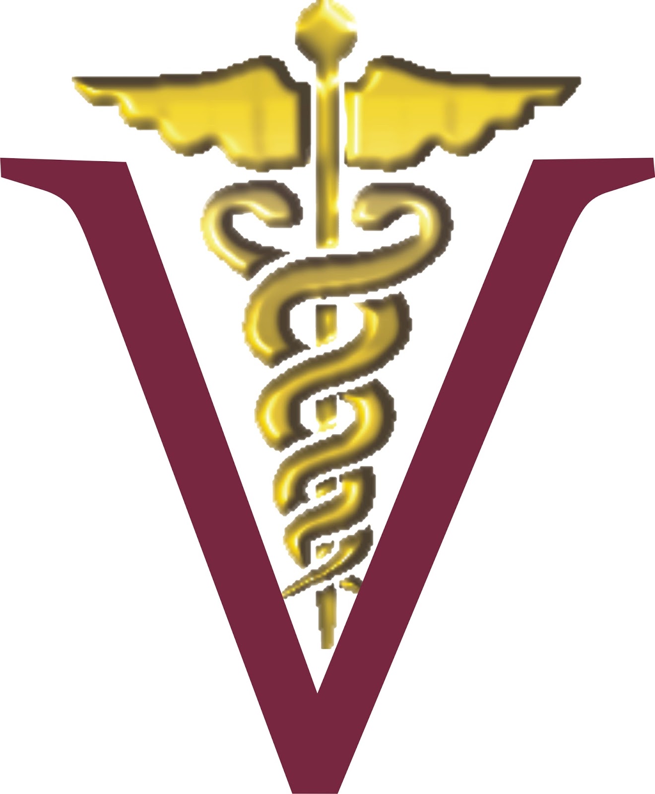 Veterinaria UNA grupo 10.