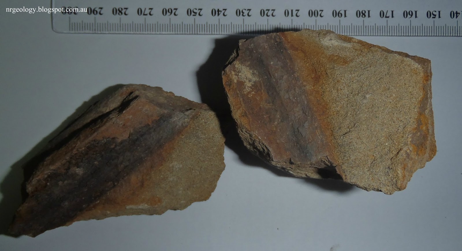 Northern Rivers Geology Boring Fossils But Fossils None the less