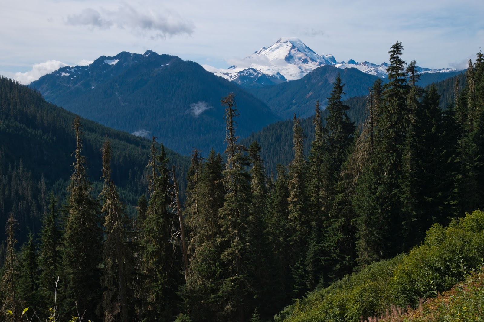 Hiking Shenandoah: Yellow Aster Butte