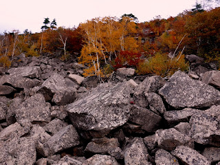 Earthquake Ledge, Acadia National Park (fall foliage)