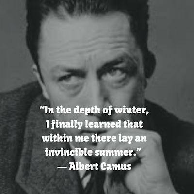 Albert Camus Best Quotes