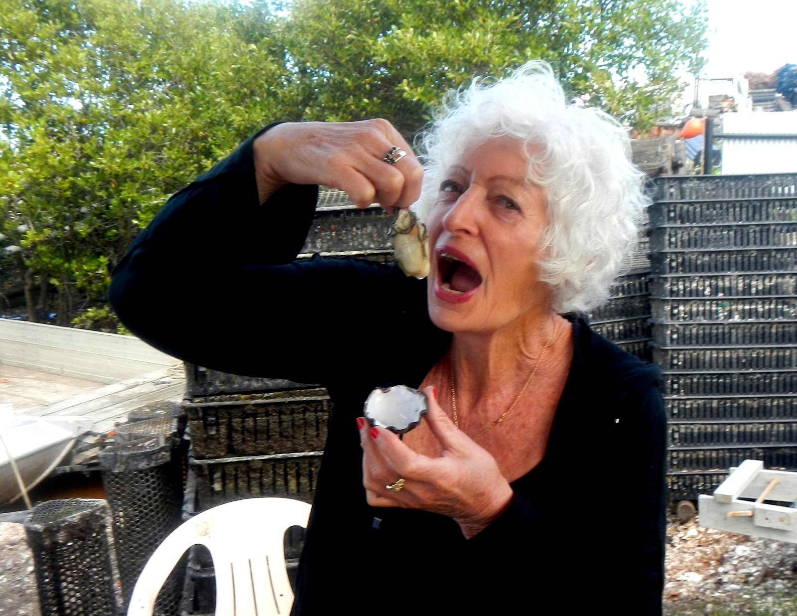 Licorice Allsorts Oyster Farming... At Lemon Tree Passage
