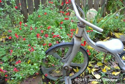 small garden, sage, bike, fall