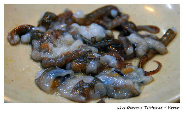 Top 10 Weirdest Food in Asia - Live Octopus Tentacles - Korea | Ramble and Wander