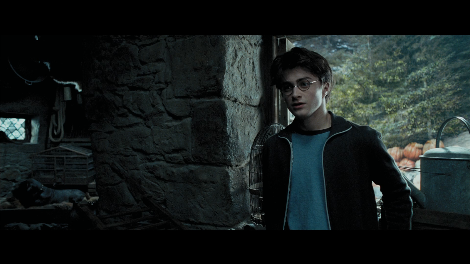 Harry Potter y el prisionero de Azkaban (2004) BDRip 1080p Latino 