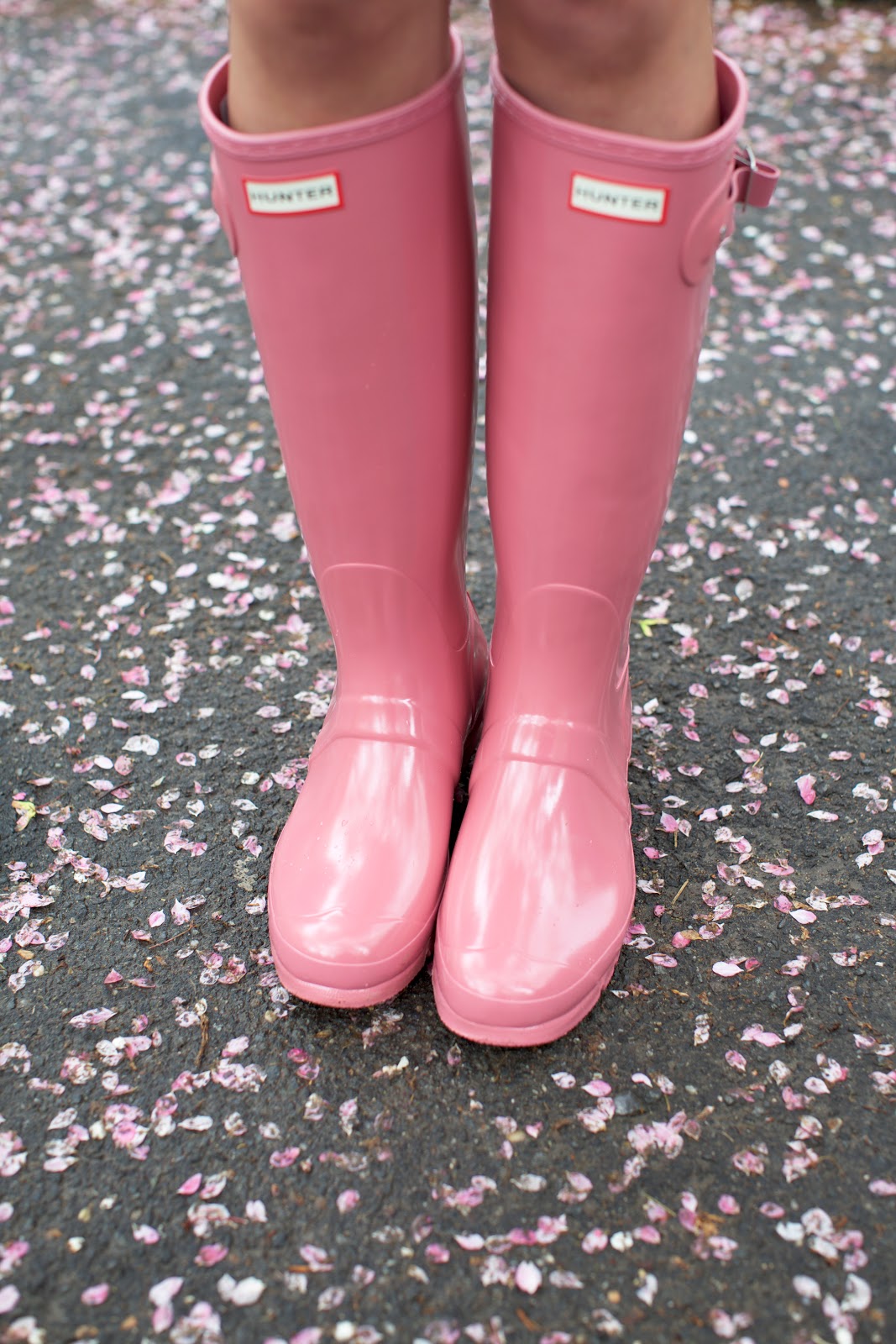 pink // rain - Atlantic-Pacific