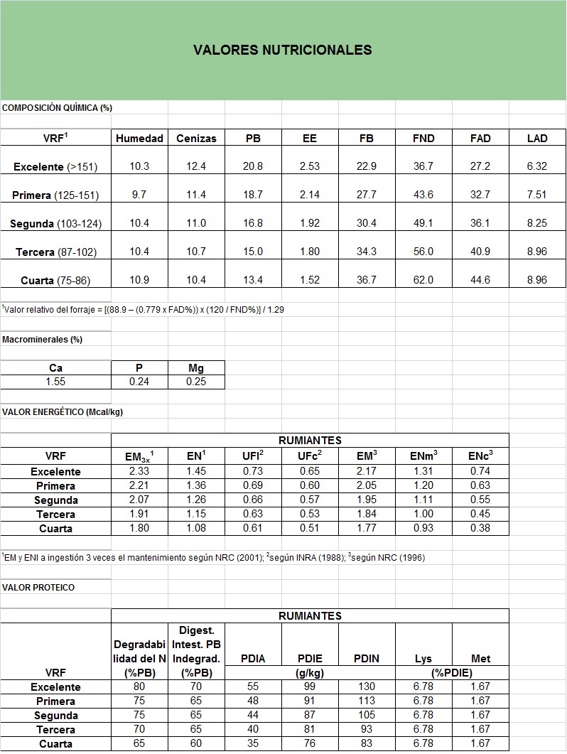 alimentacionderumiantes La Alfalfa en la Alimentación del Ganado
