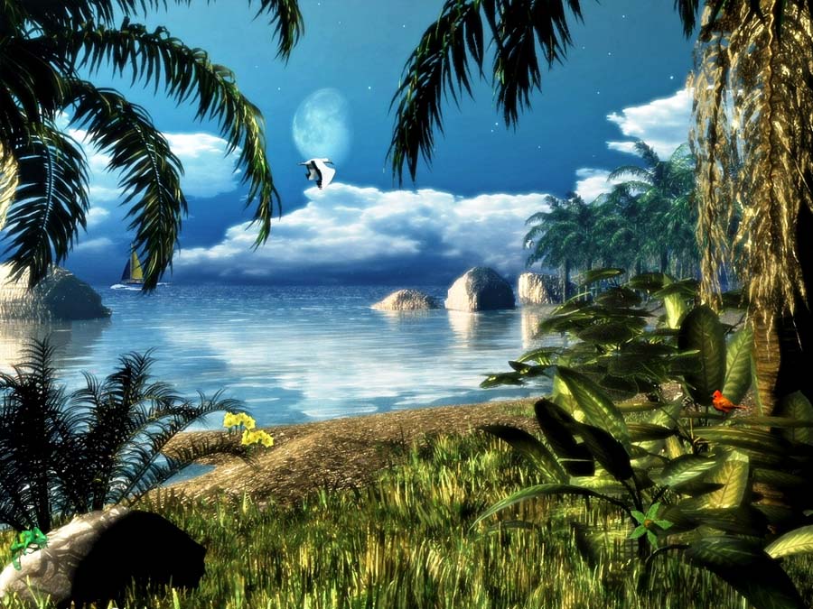 3D Animated Moving Beach Screensaver Moving Wallpapers