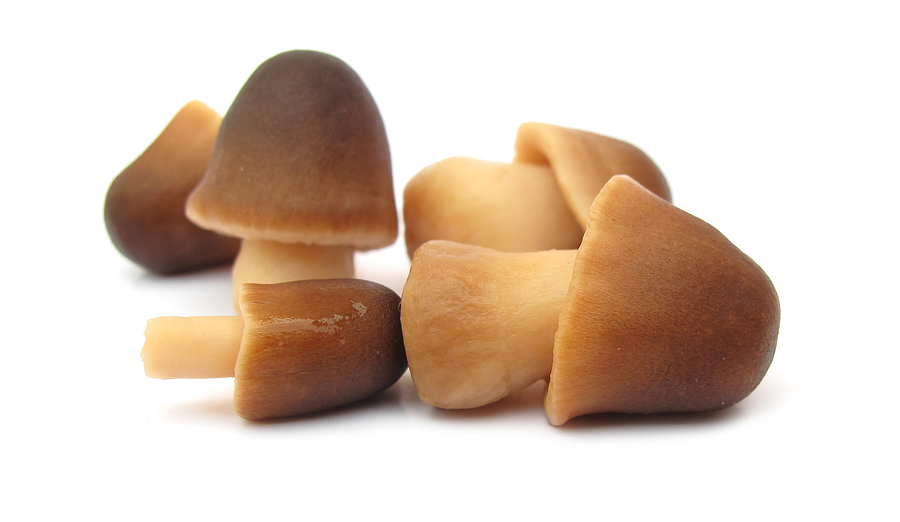 Food, Faith and Fellowship Vietnamese Cauliflower with Straw Mushrooms