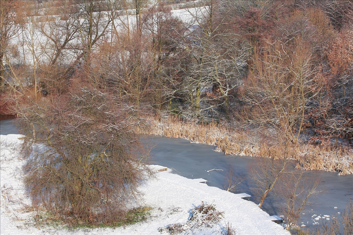 Harriman Dam Wildlife Cleckheaton Winter weather