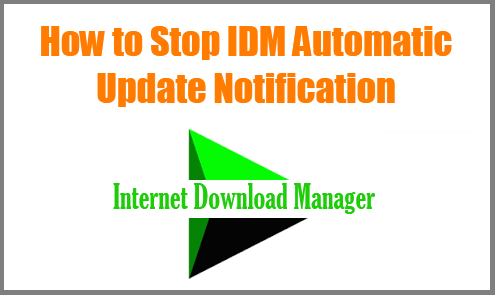 Disable IDM Automatic Update Notification