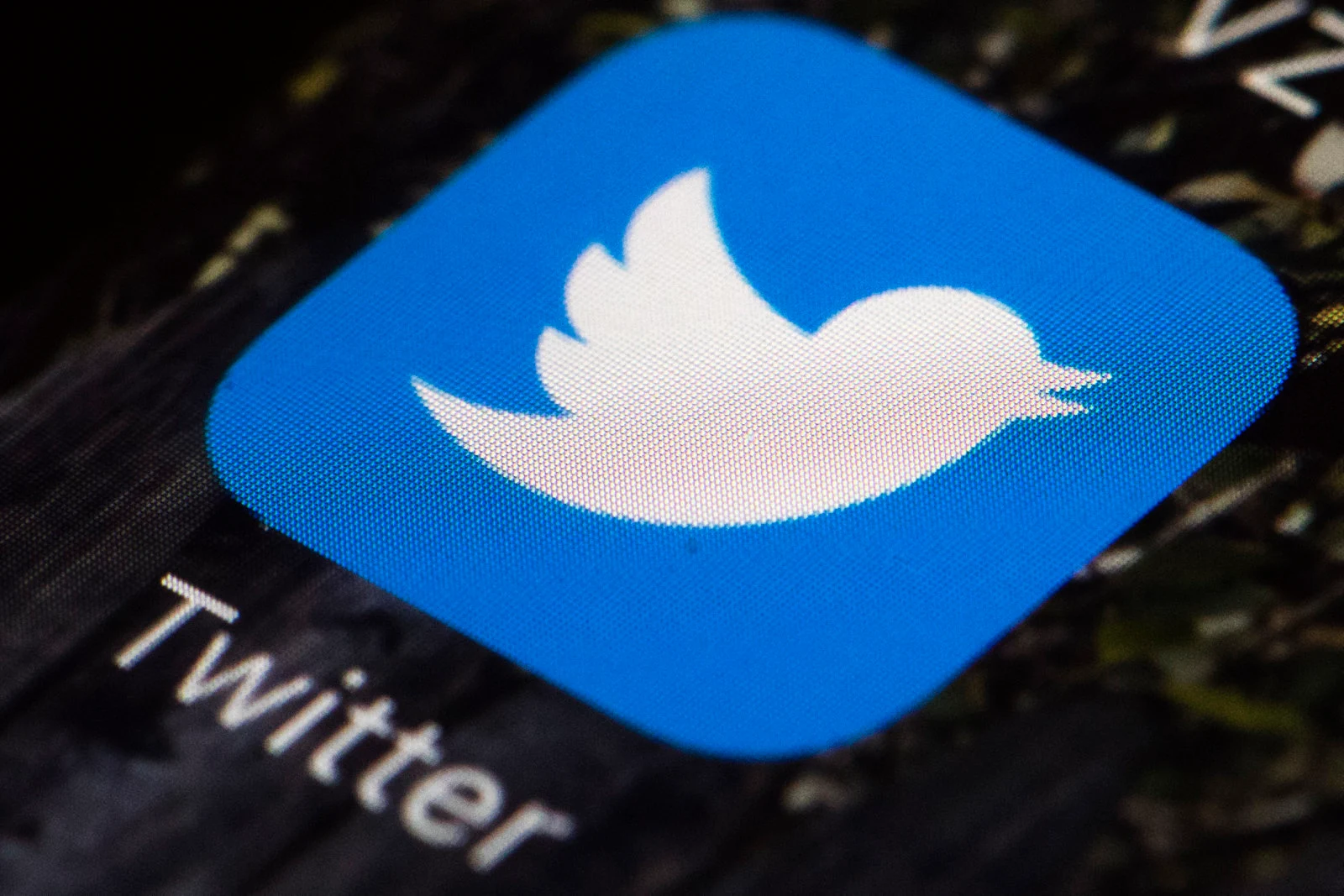 Twitter Buys Fabula AI to Tackle the Spam Content on Platform and Improve User Experience!