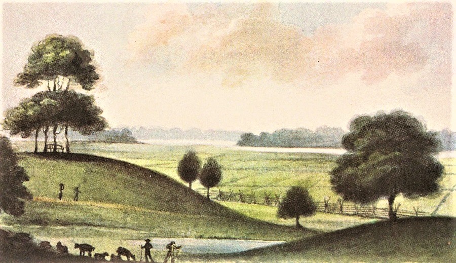 Plants & Gardens in Colonial & Early America South Carolina Rice Hope Plantation from One of