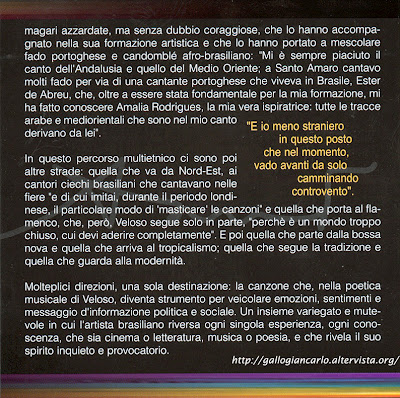 Caetano Veloso " A Luz De TIETA "