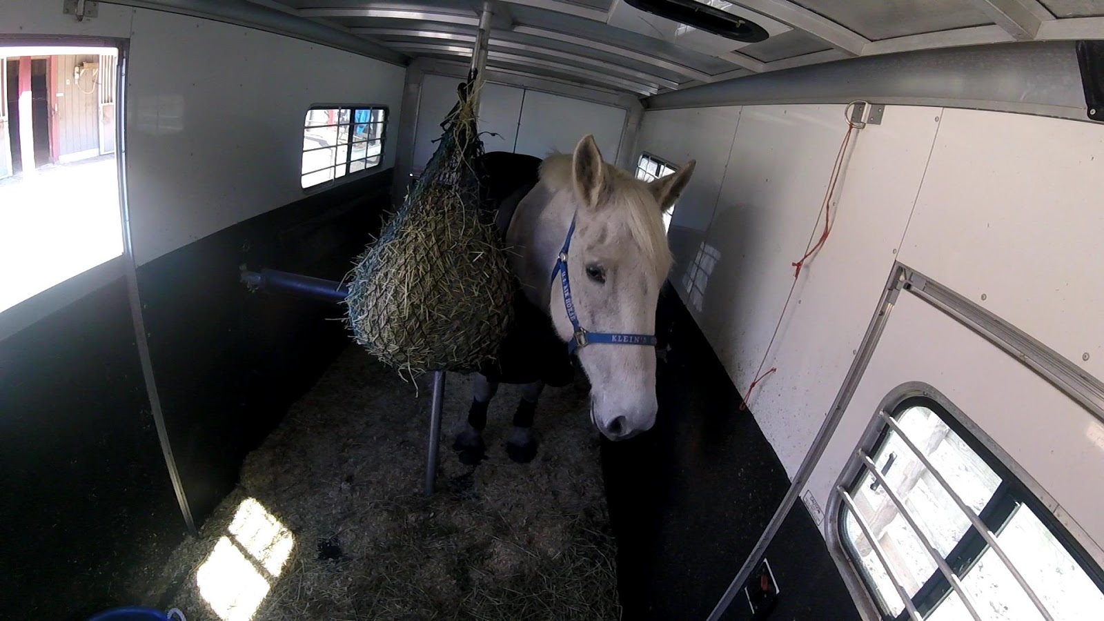 The Jumping Percheron Trailer Ride Video, Part 2 Box Stall