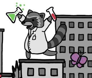 mapache cientifico scientist raccoon